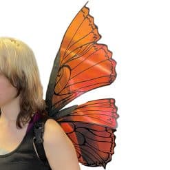 Iridescent Butterfly wings by The Tail Company