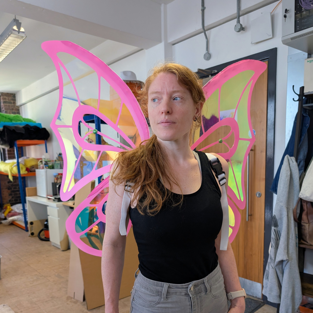 Alternative view of Custom FlutterWings