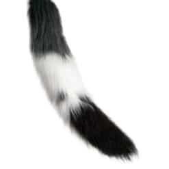 Another beautiful moving tail by The Tail Company