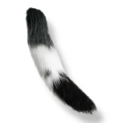 Alternative view of Gorgeous Cat Tails